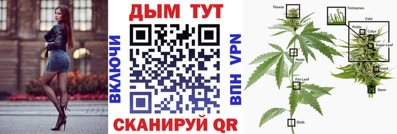 где купить наркотик  Карабаш  МАРИХУАНА Amnesia 